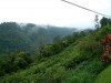 Poas area - Costa Rica